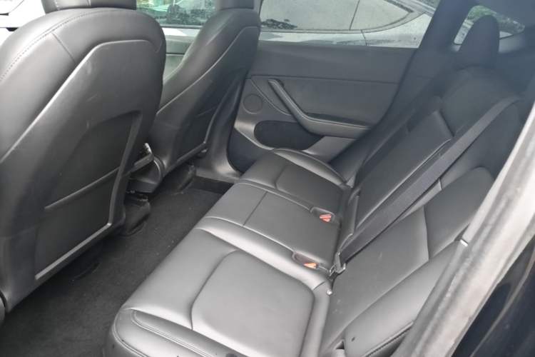 Used Tesla Model Y 2021 Standard Range Rear-Wheel Drive Version Left Rear Seat