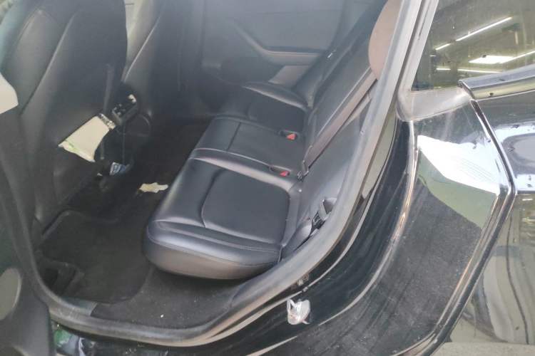 Used Tesla Model Y 2021 Long-Range All-Wheel-Drive Version Left Rear Seat
