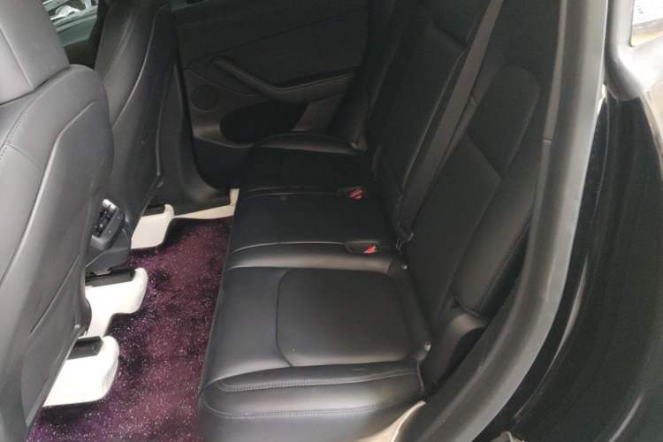 Used Tesla Model Y 2021 Standard Range Rear-Wheel Drive Version Left Rear Seat