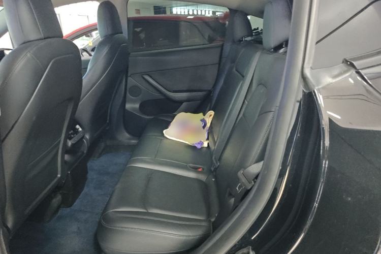 Used Tesla Model Y 2021 Standard Range Rear-Wheel Drive Version Left Rear Seat
