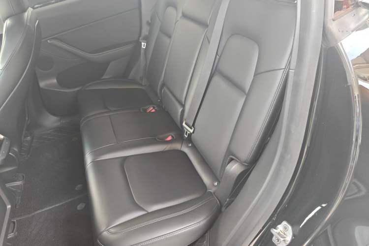 Used Tesla Model Y 2021 Standard Range Rear-Wheel Drive Version Left Rear Seat