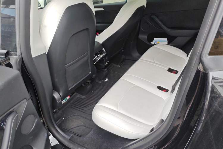 Used Tesla Model Y 2021 Standard Range Rear-Wheel Drive Version Left Rear Seat