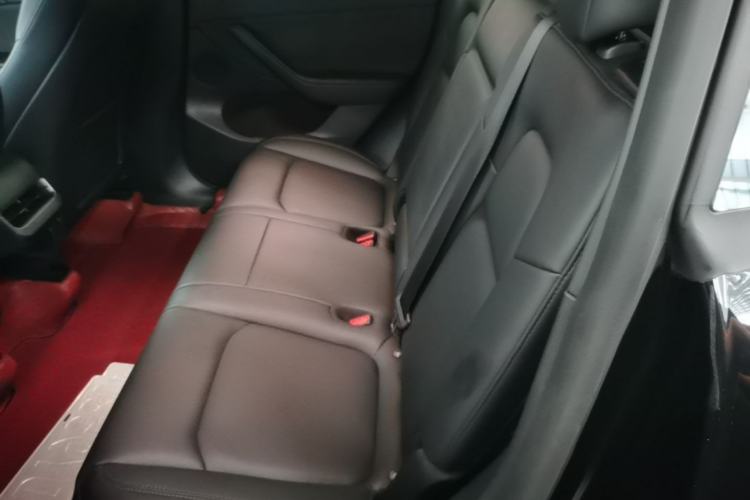Used Tesla Model Y 2021 Standard Range Rear-Wheel Drive Version Left Rear Seat