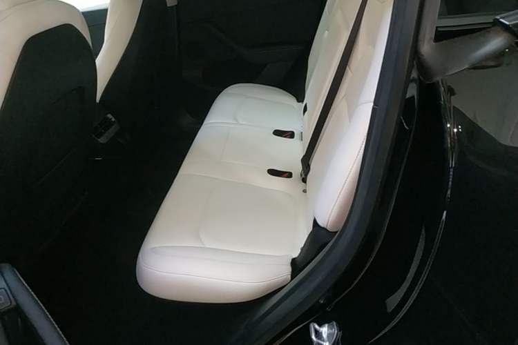 Used Tesla Model Y 2021 Standard Range Rear-Wheel Drive Version Left Rear Seat