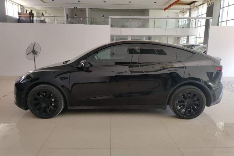 Used Tesla Model Y 2021 Long-Range All-Wheel-Drive Version 3D7 Left Side