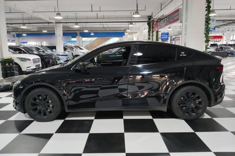 Used Tesla Model Y 2021 Standard Range Rear-Wheel Drive Version Left Side
