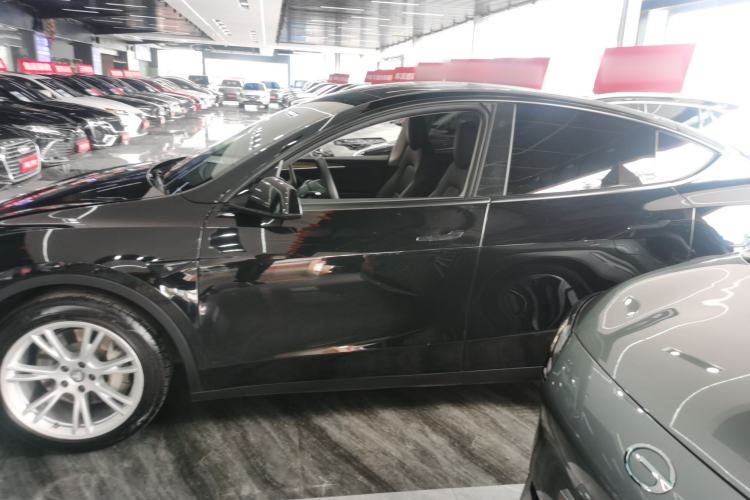Used Tesla Model Y 2021 Standard Range Rear-Wheel Drive Version Left Side