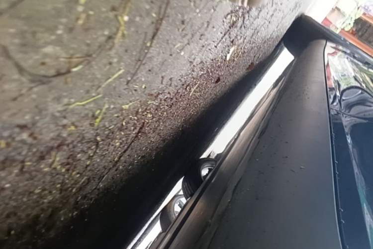 Used Tesla Model Y 2021 Standard Range Rear-Wheel Drive Version Left Side Sill