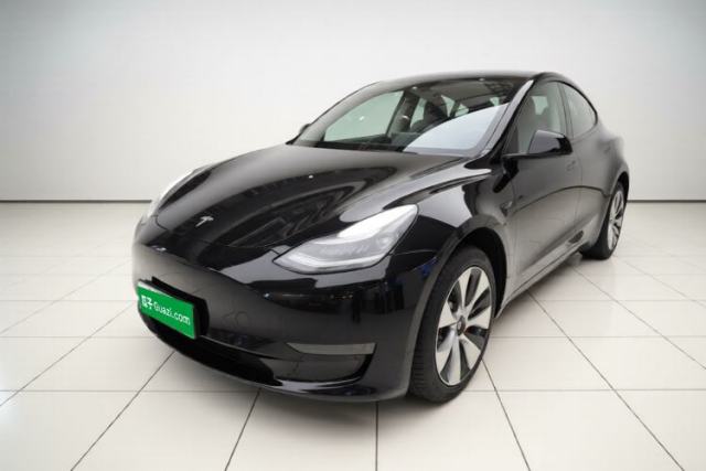 Tesla Model Y 2021 Standard Range Rear-Wheel Drive Version usata