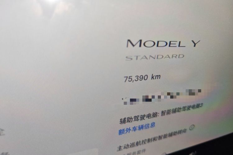 Used Tesla Model Y 2021 Standard Range Rear-Wheel Drive Version Odometer Close Up