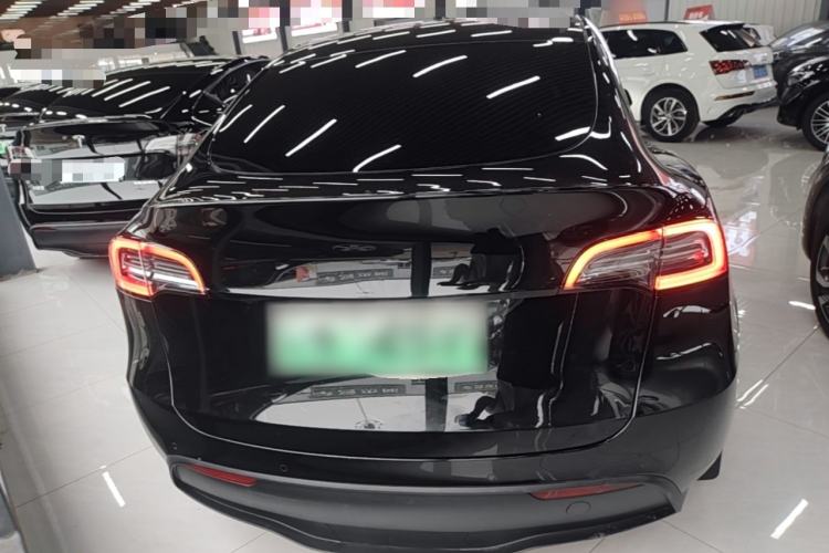 Used Tesla Model Y 2021 Standard Range Rear-Wheel Drive Version Rear
