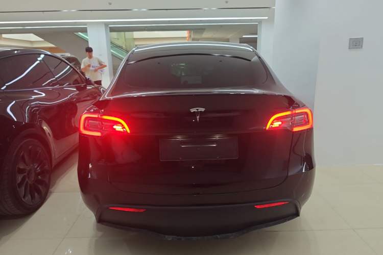 Used Tesla Model Y 2021 Standard Range Rear-Wheel Drive Version Rear