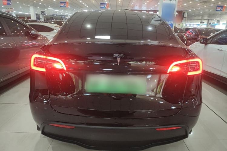 Used Tesla Model Y 2021 Standard Range Rear-Wheel Drive Version Rear