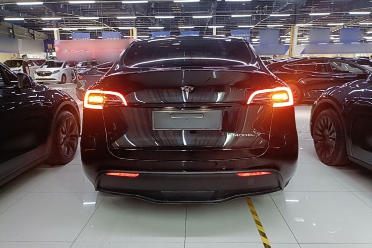 Used Tesla Model Y 2021 Standard Range Rear-Wheel Drive Version Rear