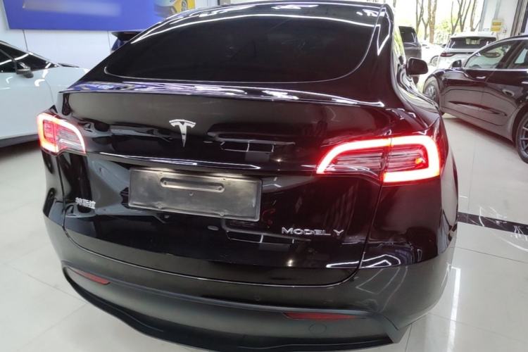 Used Tesla Model Y 2021 Standard Range Rear-Wheel Drive Version Rear