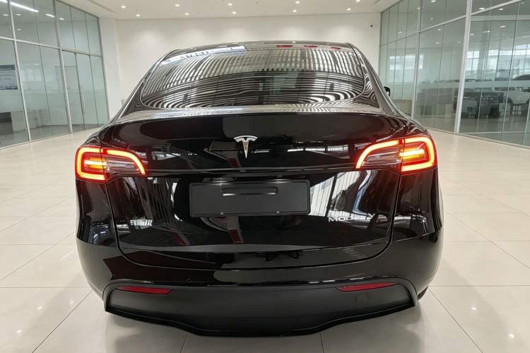 Used Tesla Model Y 2021 Standard Range Rear-Wheel Drive Version Rear