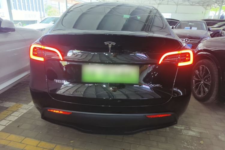 Used Tesla Model Y 2021 Standard Range Rear-Wheel Drive Version Rear