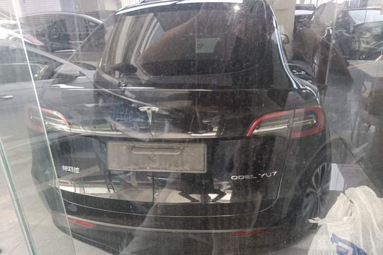 Used Tesla Model Y 2021 Standard Range Rear-Wheel Drive Version Rear