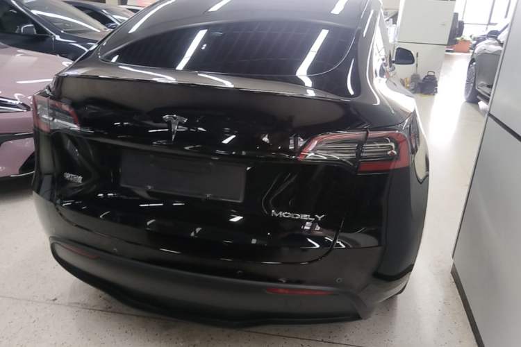 Used Tesla Model Y 2021 Standard Range Rear-Wheel Drive Version Rear