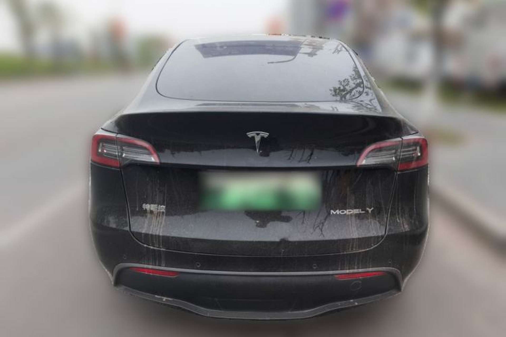 Used Tesla Model Y 2021 Standard Range Rear-Wheel Drive Version Rear