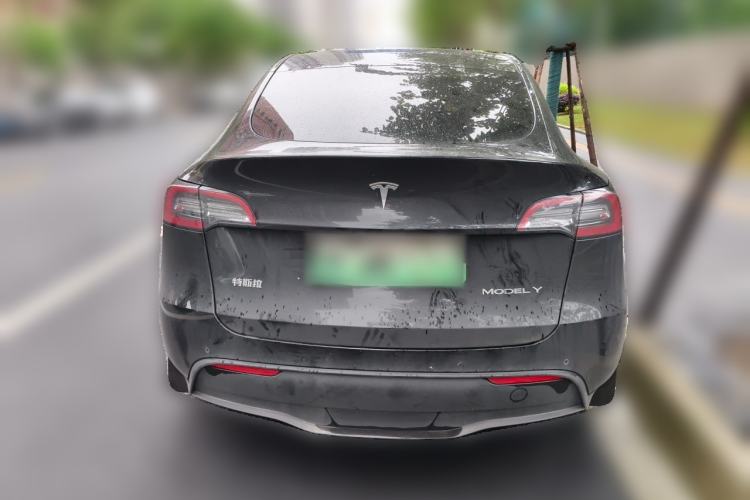 Used Tesla Model Y 2021 Standard Range Rear-Wheel Drive Version Rear