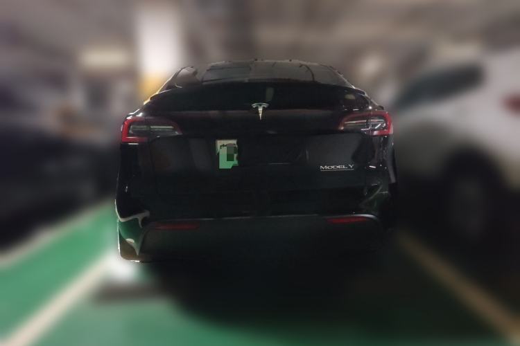 Used Tesla Model Y 2021 Standard Range Rear-Wheel Drive Version Rear
