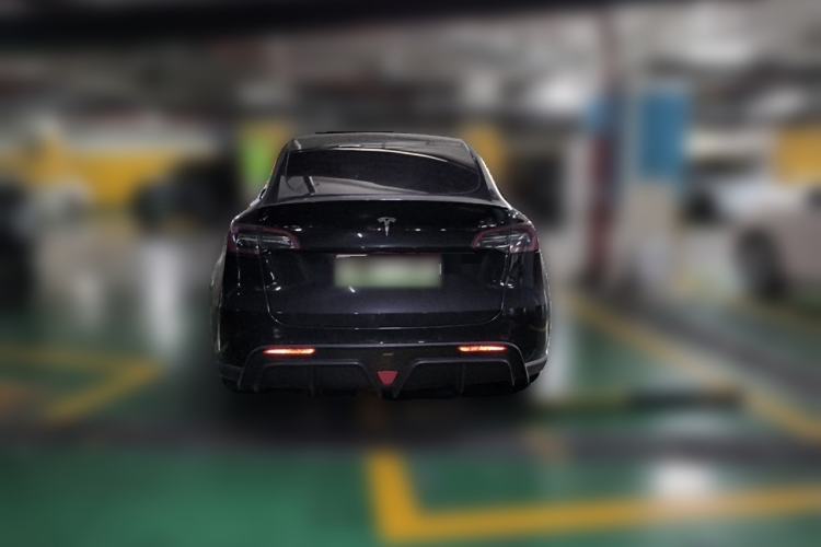 Used Tesla Model Y 2021 Standard Range Rear-Wheel Drive Version Rear