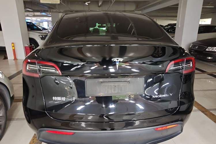 Used Tesla Model Y 2021 Standard Range Rear-Wheel Drive Version Rear