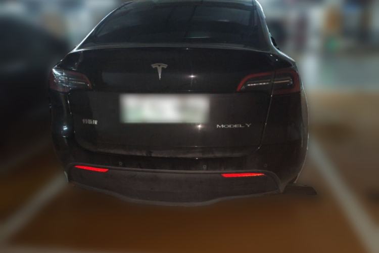 Used Tesla Model Y 2021 Standard Range Rear-Wheel Drive Version
