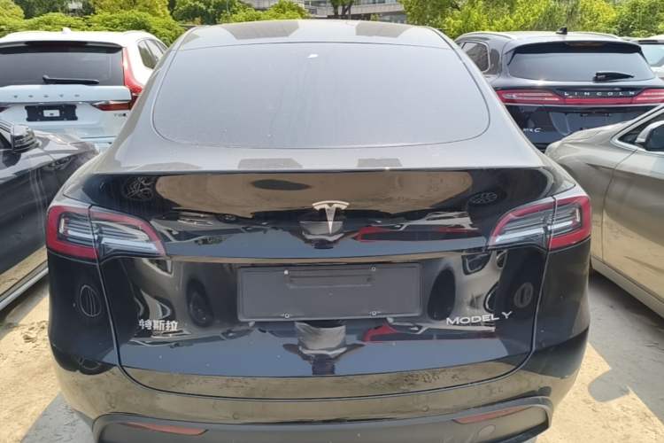 Used Tesla Model Y 2021 Standard Range Rear-Wheel Drive Version Rear
