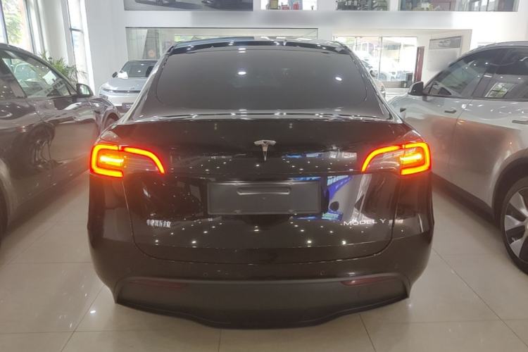 Used Tesla Model Y 2021 Standard Range Rear-Wheel Drive Version Rear