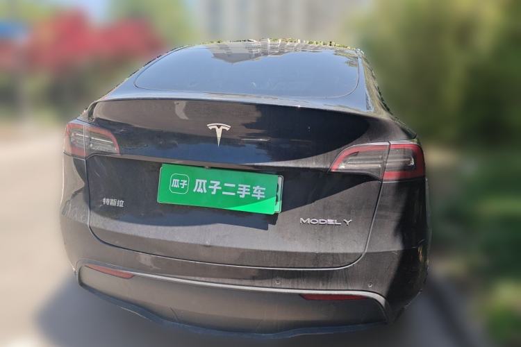 Used Tesla Model Y 2021 Standard Range Rear-Wheel Drive Version Rear