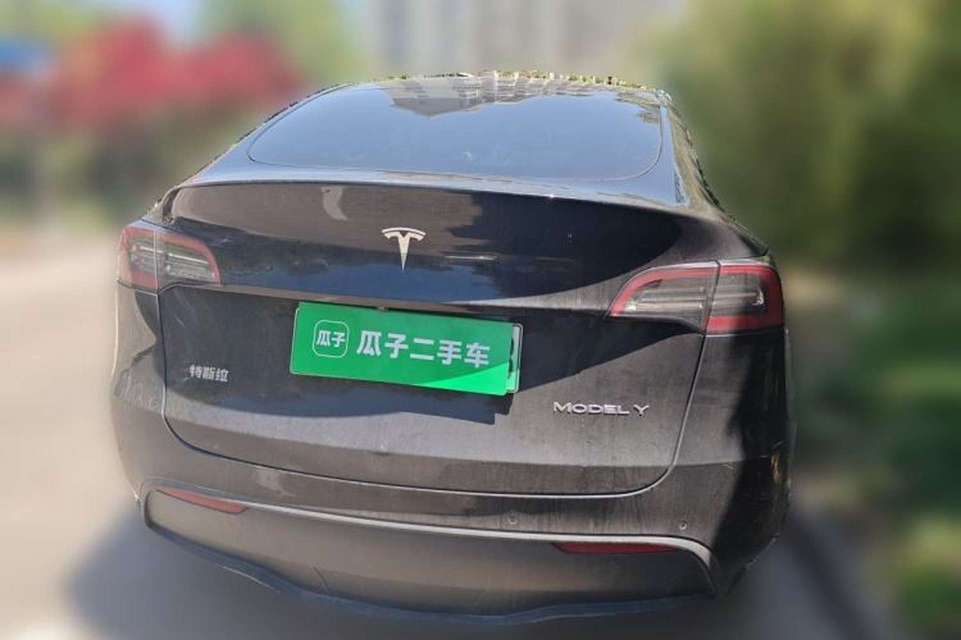 Used Tesla Model Y 2021 Standard Range Rear-Wheel Drive Version Rear
