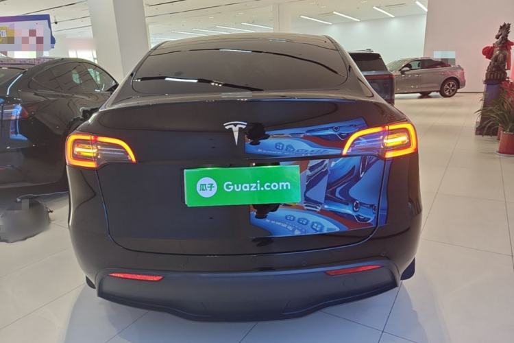 Used Tesla Model Y 2021 Standard Range Rear-Wheel Drive Version Rear