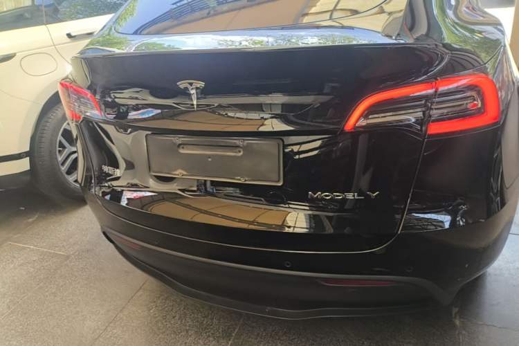 Used Tesla Model Y 2021 Long-Range All-Wheel-Drive Version Rear