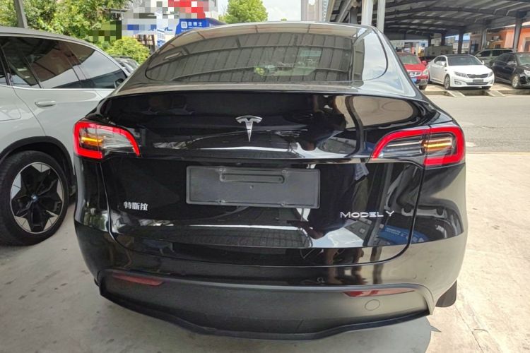 Used Tesla Model Y 2021 Standard Range Rear-Wheel Drive Version Rear