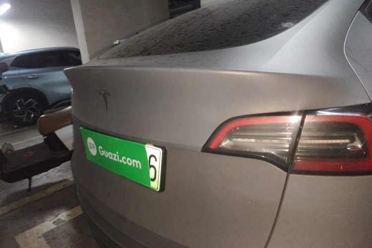 Used Tesla Model Y 2021 Standard Range Rear-Wheel Drive Version Rear