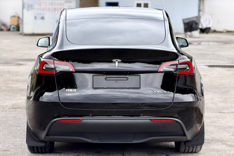 Used Tesla Model Y 2021 Standard Range Rear-Wheel Drive Version Rear