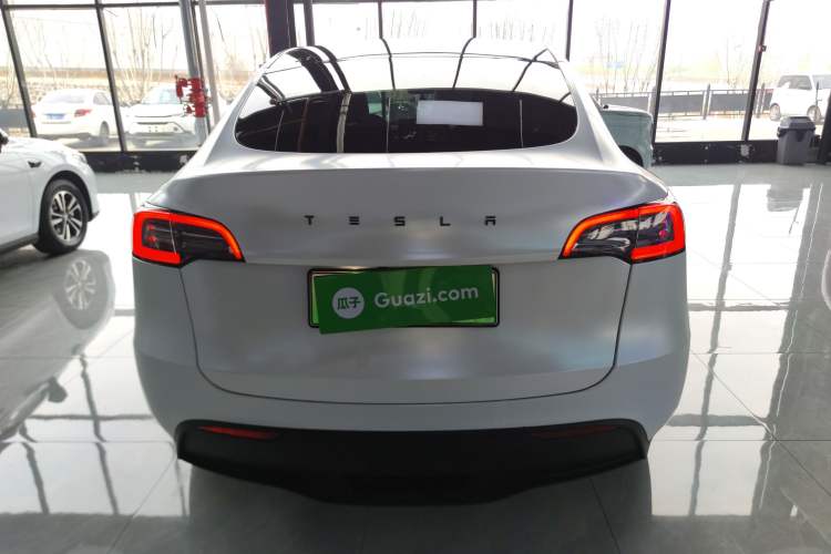 Used Tesla Model Y 2021 Standard Range Rear-Wheel Drive Version Rear