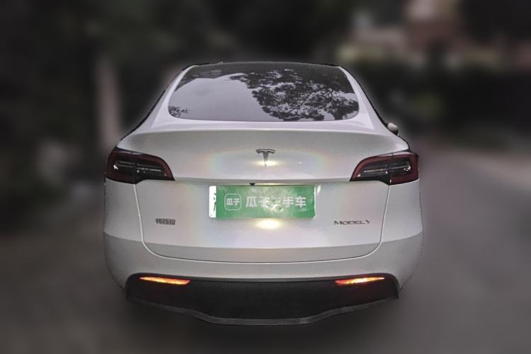 Used Tesla Model Y 2021 Standard Range Rear-Wheel Drive Version Rear
