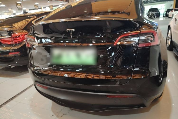 Used Tesla Model Y 2021 Standard Range Rear-Wheel Drive Version Rear