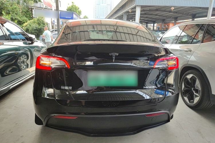 Used Tesla Model Y 2021 Standard Range Rear-Wheel Drive Version Rear