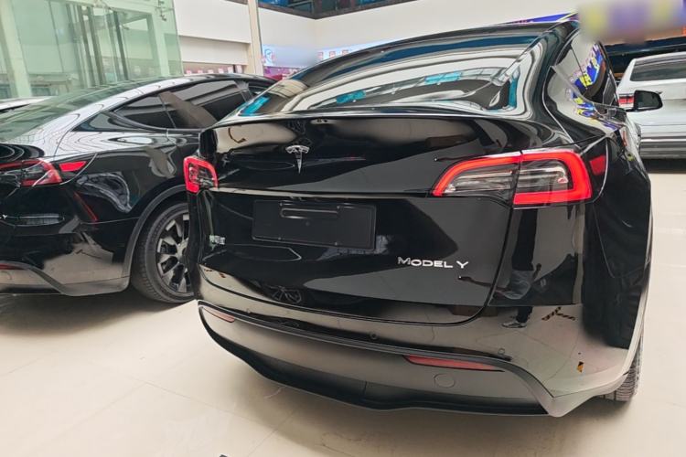 Used Tesla Model Y 2021 Standard Range Rear-Wheel Drive Version Rear