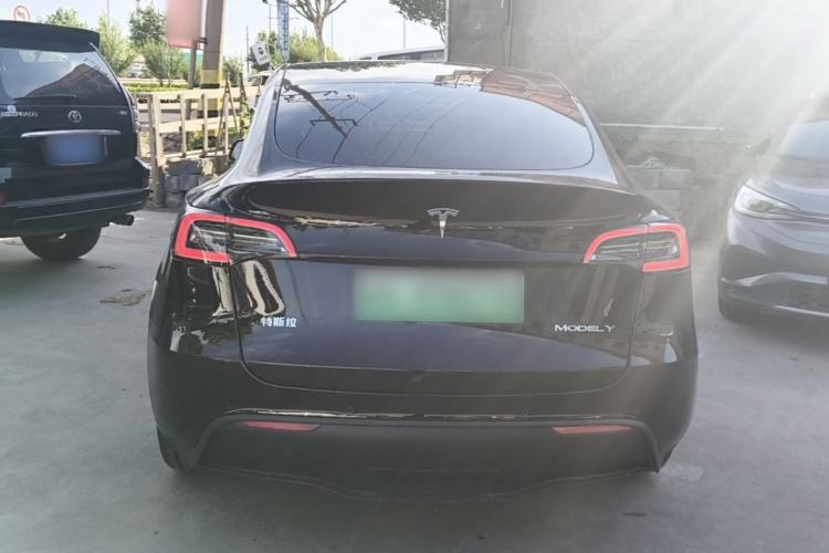 Used Tesla Model Y 2021 Standard Range Rear-Wheel Drive Version Rear