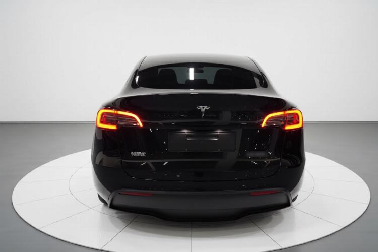 Used Tesla Model Y 2021 Standard Range Rear-Wheel Drive Version Rear