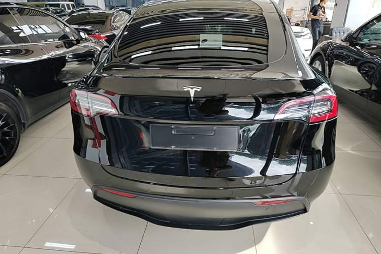Used Tesla Model Y 2021 Standard Range Rear-Wheel Drive Version Rear