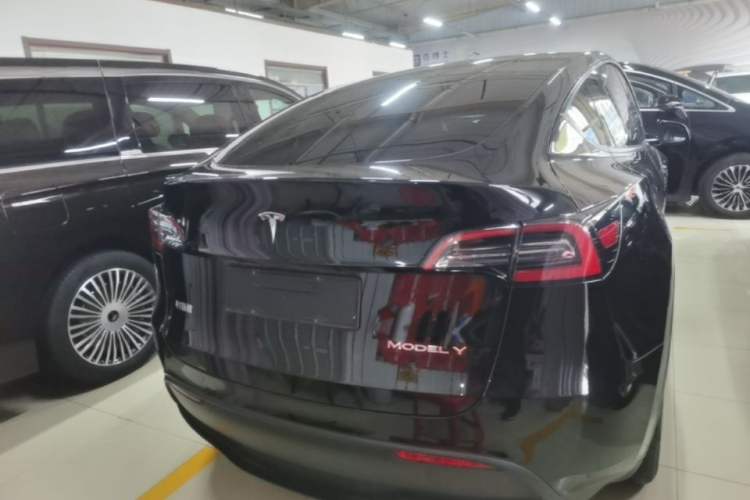 Used Tesla Model Y 2021 Long-Range All-Wheel-Drive Version Rear