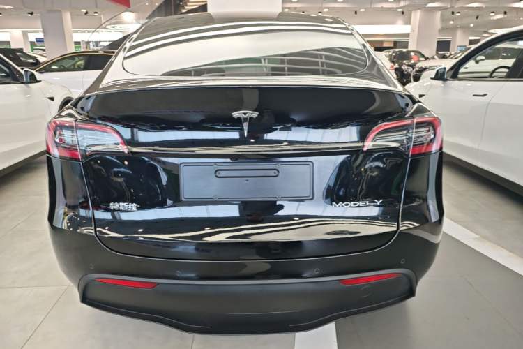 Used Tesla Model Y 2021 Standard Range Rear-Wheel Drive Version Rear