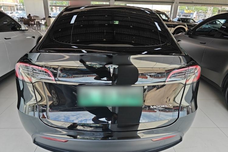 Used Tesla Model Y 2021 Standard Range Rear-Wheel Drive Version Rear