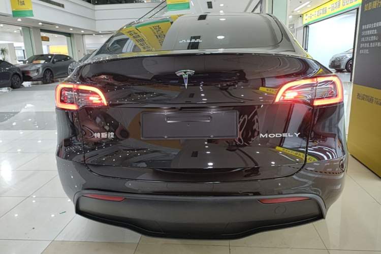 Used Tesla Model Y 2021 Standard Range Rear-Wheel Drive Version Rear